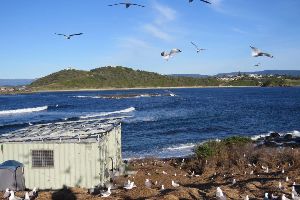 Five Islands Nature Reserve 