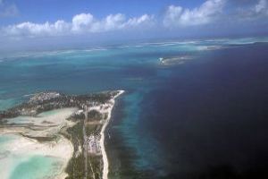 Go crab in the Christmas Island