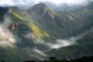 Go Wild In The Amazonian Range