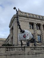 University of Kansas Natural History Museum