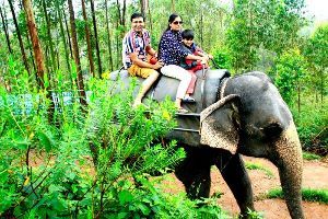 Alleppey Munnar Thekkday Kodaikanal Ooty Coimbatore 09 Days