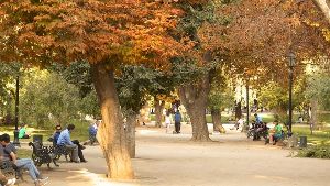 Bellas Artes Neighborhood and Forest Park