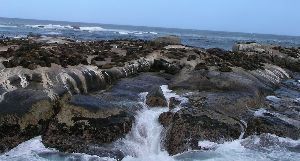 Seal Island, South Africa