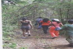 Get Refreshed With Hiking