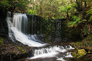 Mount Field National Park