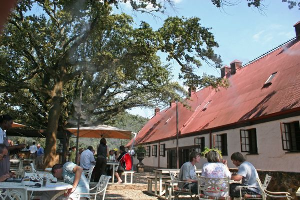 The Irene Dairy Farm