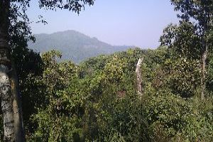 Khao Phanom Bencha Mountain