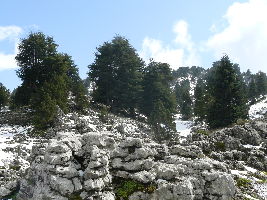 Karst Springs
