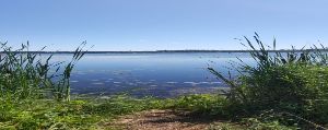 Lake Scugog