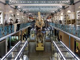Museum of Natural History of Lille
