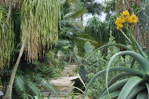  Mounts Botanical Garden