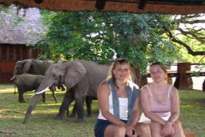 A Stay in Mfuwe Lodge of Africa