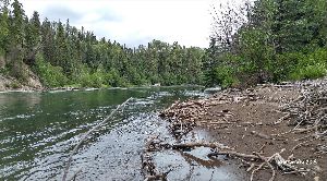 Fishing in Morice river