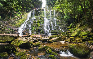 Franklin Gordon Wild Rivers National Park