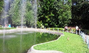 Nilambur Teak Museum