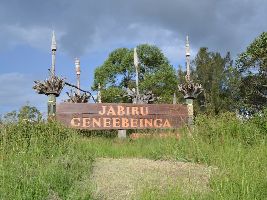 Jabiru Geneebeinga Wetlands