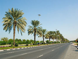 Palm Beach Marg