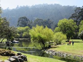 Paradise Park