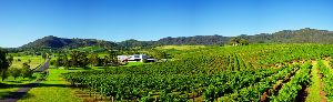 Hunter Region winemaking
