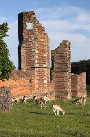 Bradgate House