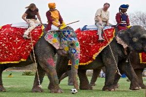 Play Elephant Polo in Rajasthan
