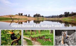 Satpura national park
