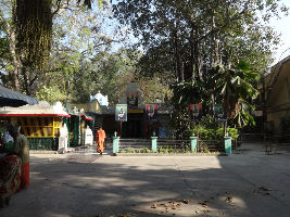 Seshadri Swamigal Ashram