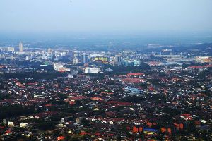 Kampung Kuantan Fireflies