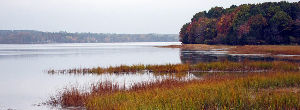 Great Bay National Wildlife Refuge 
