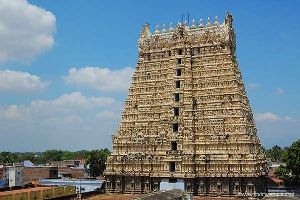 Sri Sankaranarayana Swamy Temple - Sankarankovil