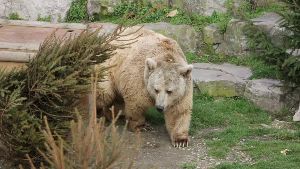 Fort Mardyck Zoological Park 