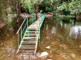 Tada Falls / Ubbalamadugu Falls