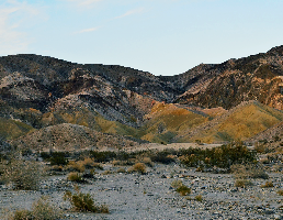 The Coyote Mountains