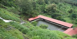 Kumaragiri Farm & Nature Camp