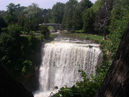 Wester Fall 