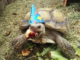 National Butterfly Center