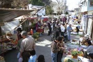 Katsuura Morning Market