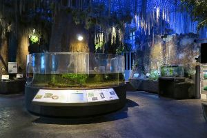 Audubon Butterfly Garden and Insectarium