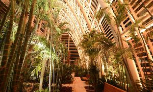 Umm Al Emarat Park