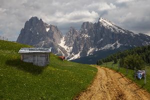 Justistal Alpine Dairy