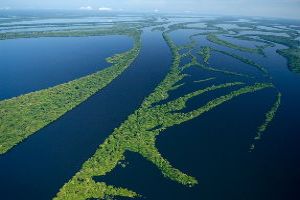 Anavilhanas Archipelago: Amazon