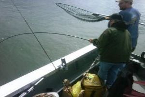 Catch Your Prize: Angling
