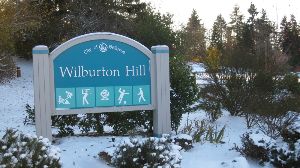 Willburton Hill Park