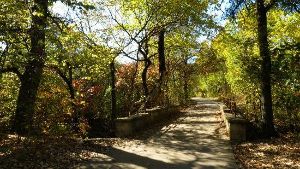 Arbor Hills Nature Preserve
