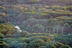 Danube Auen National Park