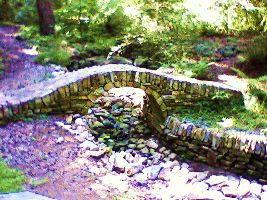 UNC Charlotte Botanical Gardens