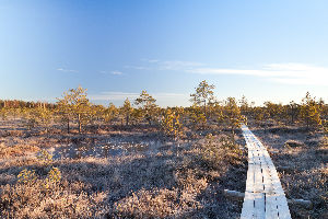Krustkalni Nature reserve