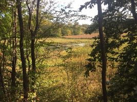 Gales Pond County Park