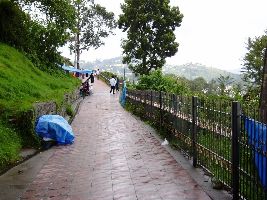 Coakers Walk