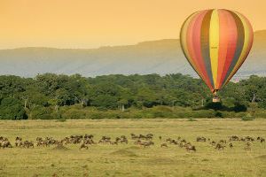 Unimaginable Experience at Masai Mara National Reserve